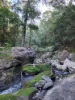 497 Yabbra Road, Bonalbo NSW 2469-Image