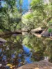 497 Yabbra Road, Bonalbo NSW 2469-Image