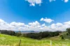 497 Yabbra Road, Bonalbo NSW 2469-Image