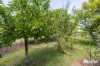 498 Sunnyside Road, Sunnyside, Tas 7305-Image