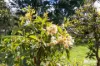 498 Sunnyside Road, Sunnyside, Tas 7305-Image