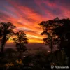 499-505 Main Western Road, Tamborine Mountain, Qld 4272-Image