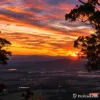 499-505 Main Western Road, Tamborine Mountain, Qld 4272-Image