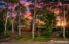 499-505 Main Western Road, Tamborine Mountain, Qld 4272-Image