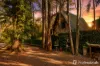 499-505 Main Western Road, Tamborine Mountain, Qld 4272-Image