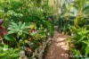 499-505 Main Western Road, Tamborine Mountain, Qld 4272-Image