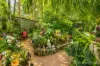 499-505 Main Western Road, Tamborine Mountain, Qld 4272-Image