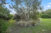 49C Thorp Street, Cygnet, Tas 7112-Image
