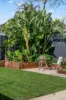 4A Clarke Street, Norwood, SA 5067-Image