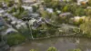 4A Glan Avon Road, Hawthorn, Vic 3122-Image