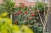 5/138 Shakespeare Avenue, Magill, SA 5072-Image