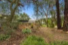 5-7 Duck Ponds Road, Stockwell, SA 5355-Image