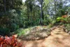 5-7 Eden Park Court, Mount Nathan, Qld 4211-Image