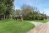 5 -9 Greene Street, Macedon, Vic 3440-Image