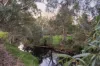 5 Alder Street, Paradise, SA 5075-Image