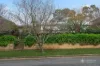 5 Allargue Street, Nairne, SA 5252-Image