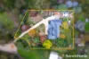 5 Arrow Court, Riddells Creek, Vic 3431-Image