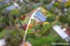 5 Arrow Court, Riddells Creek, Vic 3431-Image