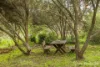 5 Atkins Street, Jarrahdale, WA 6124-Image