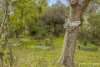 5 Atkins Street, Jarrahdale, WA 6124-Image