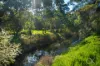 5 Azalea Drive, Lockleys, SA 5032-Image