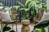 5 Baler Street, Port Douglas, Qld 4877-Image