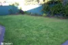 5 Barbara Street, Modbury, SA 5092-Image