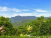 5 Barnacle Street, Trinity Beach, Qld 4879-Image