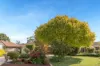 5 Birch Grove, Craigmore SA 5114-Image