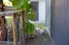 5 Bishop Street, Wulkuraka, Qld 4305-Image