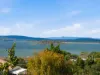 5 Boundary Street, Midway Point, Tas 7171-Image