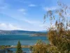 5 Boundary Street, Midway Point, Tas 7171-Image