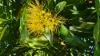 5 Brandt Close, Cooktown, Qld 4895-Image
