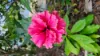 5 Brandt Close, Cooktown, Qld 4895-Image