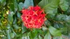 5 Brandt Close, Cooktown, Qld 4895-Image