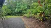 5 Brandt Close, Cooktown, Qld 4895-Image