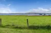 5 Burnett Street, Beeac VIC 3251-Image