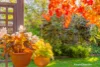 5 Burton Road, Beaconsfield Upper, Vic 3808-Image