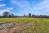 5 Cannizzaro Road, Lewiston, SA 5501-Image