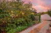 5 Canopus Crescent, Giralang, ACT 2617-Image