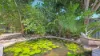 5 Cardo Ct, Ludmilla, NT 0820-Image
