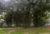 5 Casserley Way, Orelia, WA 6167-Image