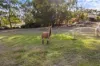 5 Charles Scorer Court, Magpie, Vic 3352-Image