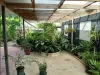 5 Chiquita Ave, Rasmussen, Qld 4815-Image