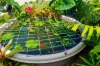 5 Chiquita Ave, Rasmussen, Qld 4815-Image