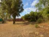 5 Clarkson Street, Port Denison, WA 6525-Image