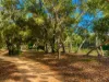 5 Clarkson Street, Port Denison, WA 6525-Image
