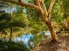 5 Clarkson Street, Port Denison, WA 6525-Image