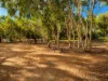 5 Clarkson Street, Port Denison, WA 6525-Image