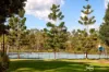 5 Conimbla Crescent, Waterford, Qld 4133-Image